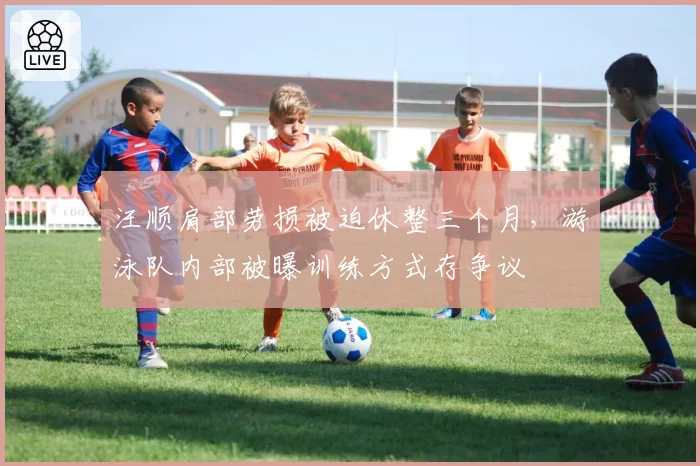 汪顺肩部劳损被迫休整三个月，游泳队内部被曝训练方式存争议