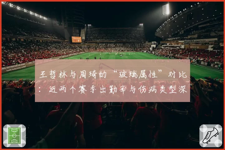 王哲林与周琦的“玻璃属性”对比：近两个赛季出勤率与伤病类型深度分析