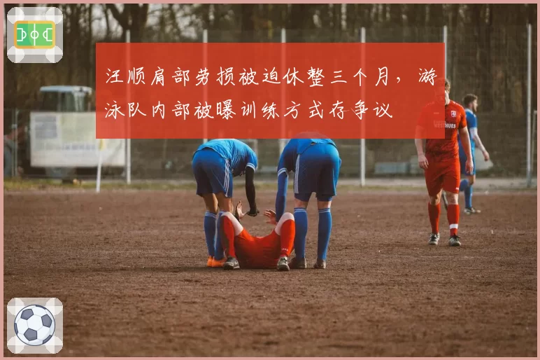 汪顺肩部劳损被迫休整三个月,游泳队内部被曝训练方式存争议