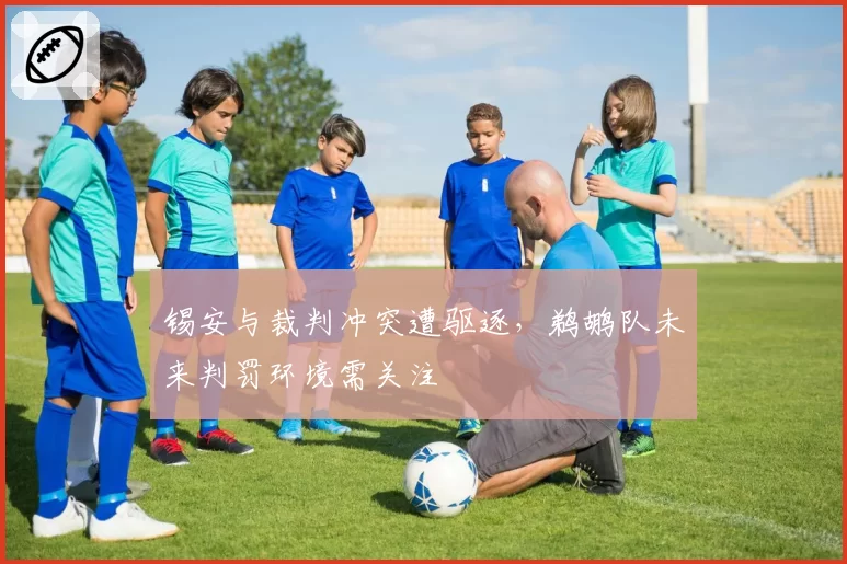 锡安与裁判冲突遭驱逐,鹈鹕队未来判罚环境需关注