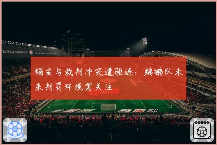 锡安与裁判冲突遭驱逐,鹈鹕队未来判罚环境需关注