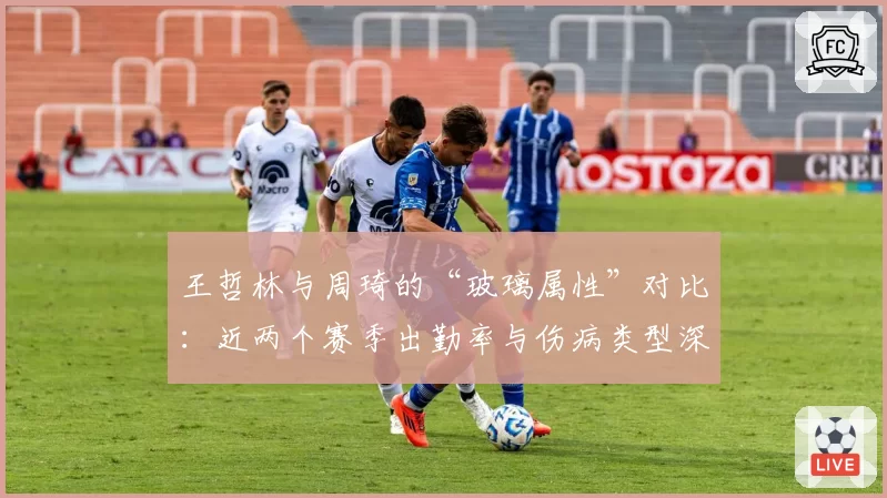王哲林与周琦的“玻璃属性”对比：近两个赛季出勤率与伤病类型深度分析