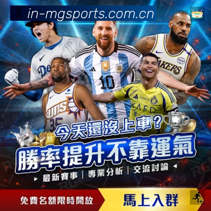 满冠体育App亮点：多维搜索、热门结果与直达入口